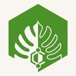 Cambrian Network logo